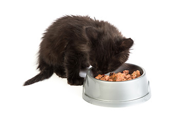 Image showing Black kitten eating cat food on a white background