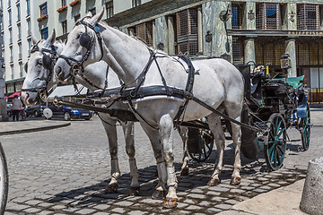 Image showing Traditional coach (Fiaker) today traveling tourists in Vienna, A