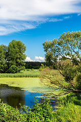 Image showing Panorama of summer morning lake