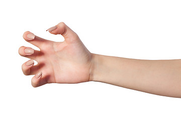 Image showing Female hand reaching for something on white