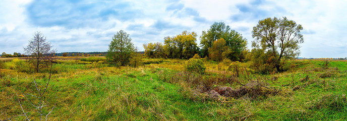 Image showing Autumn forest panorama