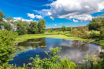 Image showing Panorama of summer morning lake