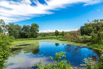 Image showing Panorama of summer morning lake