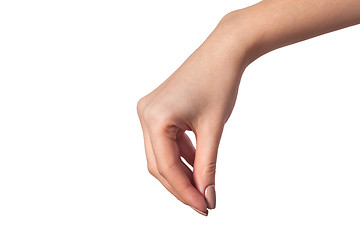 Image showing Female hand reaching for something on white