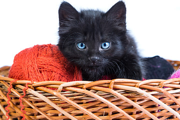 Image showing Black kitten playing with a red ball of yarn on white background