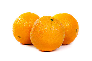 Image showing Orange