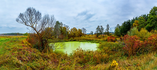 Image showing Forest lake in fall. Panorama