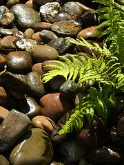 Image showing Wet Stones