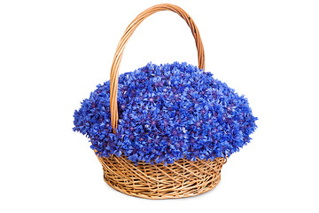 Image showing Beautiful blue cornflowers in a basket