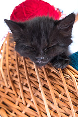 Image showing Black kitten playing with a red ball of yarn on white background