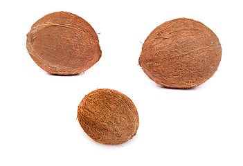 Image showing set of Coconut on a white background