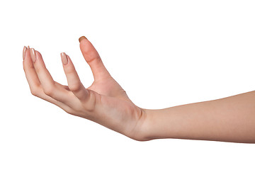 Image showing Female hand reaching for something on white