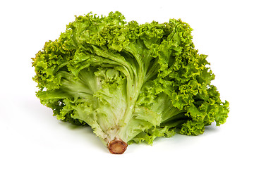 Image showing Fresh Green Lettuce isolated on white