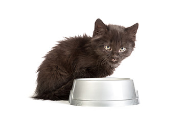 Image showing Black kitten drinks milk, on a white background