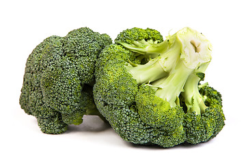 Image showing Single broccoli floret isolated on white