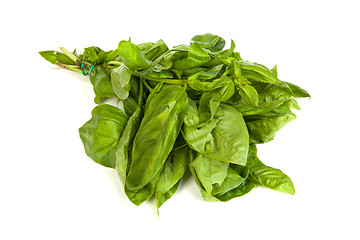 Image showing Fresh green basil leaves on white background