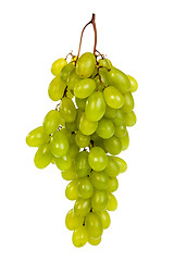 Image showing Bunch of Green Grapes laying isolated