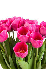 Image showing Bunch of tulips on a white