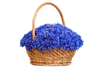 Image showing Beautiful blue cornflowers in a basket