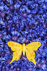 Image showing Spring blue cornflower with yellow butterfly