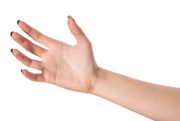 Image showing Female hand reaching for something on white