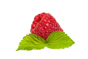 Image showing Ripe rasberry with green leaf isolated over white. Close up macr