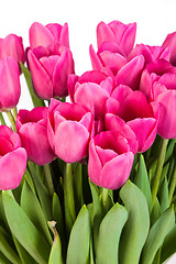 Image showing Bunch of tulips on a white