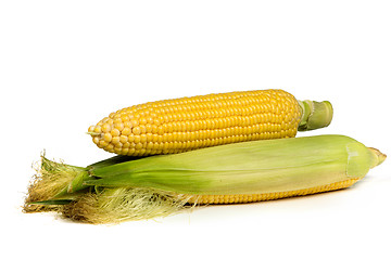 Image showing Fresh uncooked corn on the cob