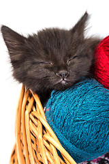 Image showing Black kitten playing with a red ball of yarn on white background