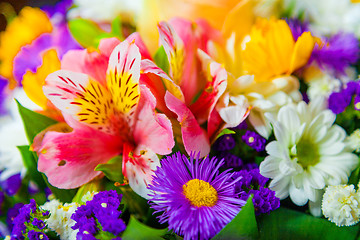 Image showing spring flowers background on white background