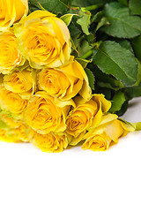 Image showing Group of fresh yellow roses