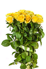 Image showing Group of fresh yellow roses