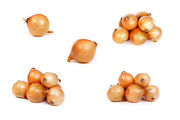 Image showing set of onions, isolated on white