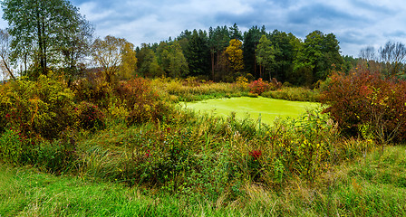 Image showing Forest lake in fall. Panorama