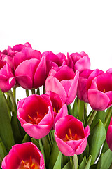 Image showing Bunch of tulips on a white