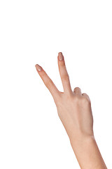 Image showing Hand gesture number four closeup isolated on white