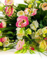 Image showing spring flowers background on white background