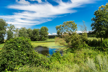 Image showing Panorama of summer morning lake