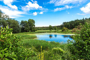 Image showing Panorama of summer morning lake