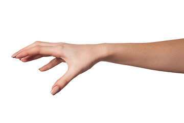 Image showing Female hand reaching for something on white