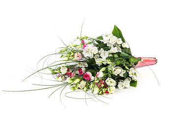 Image showing spring flowers background on white background