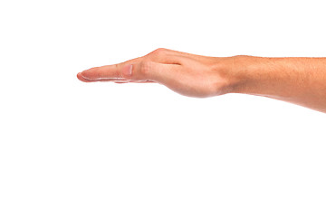 Image showing Open palm hand gesture of male hand