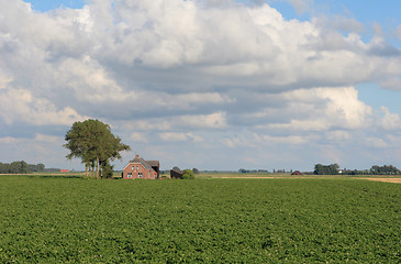 Image showing Farmhouse