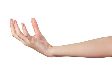 Image showing Female hand reaching for something on white