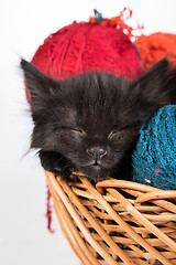 Image showing Black kitten playing with a red ball of yarn on white background