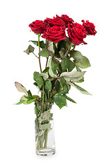 Image showing Three fresh red roses over white background