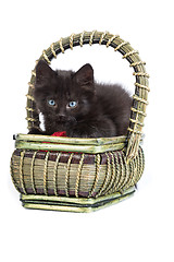 Image showing Black kitten playing with a red ball of yarn on white background