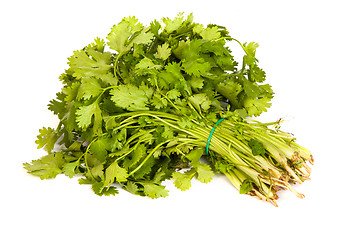 Image showing Parsley tied in a bunch with twine isolated