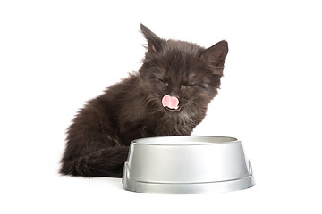 Image showing Black kitten drinks milk, on a white background