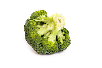 Image showing Single broccoli floret isolated on white